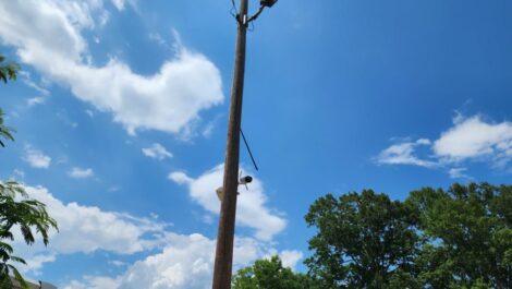 Security camera on a pole for storage facility in Columbia, MS.