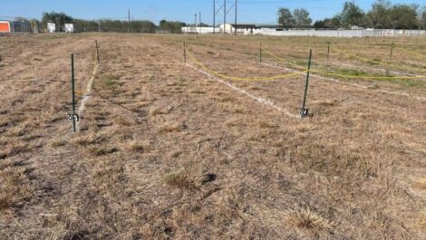 Outdoor parking at Valley Best Storage.