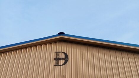 Beige metal storage building at Discount Mini Storage with bright blue roll-up doors along the side, including one tall blue door labeled 'B' with a yellow bollard in front, situated on a gravel or asphalt lot under an overcast sky.